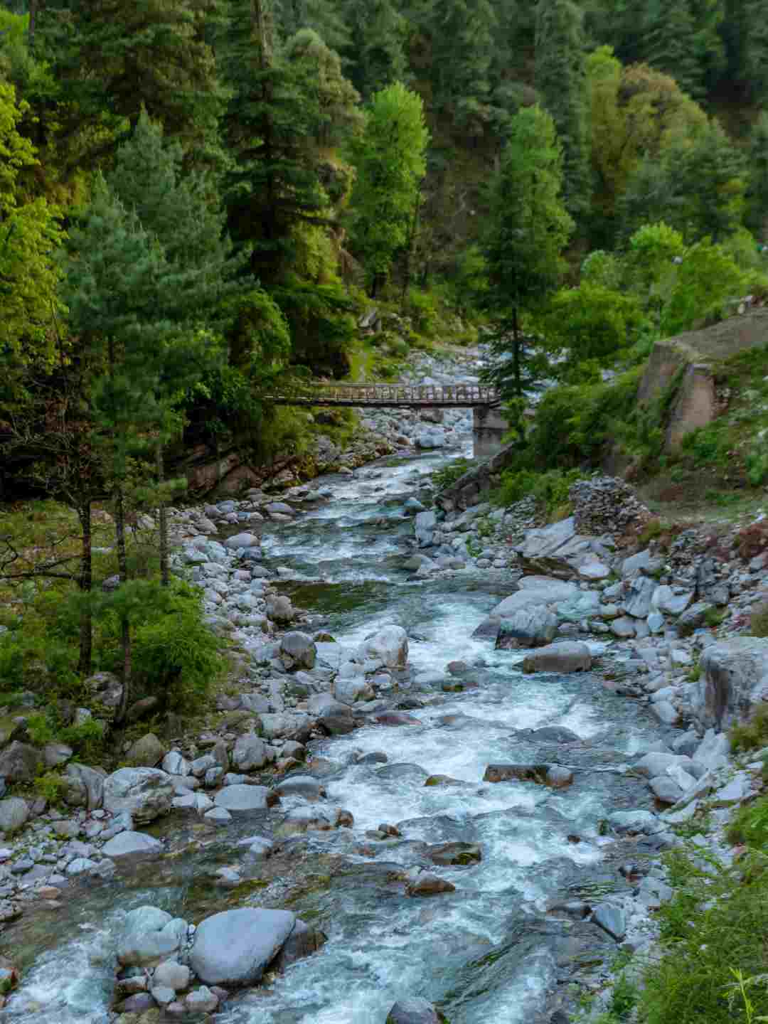 Tirthan Valley