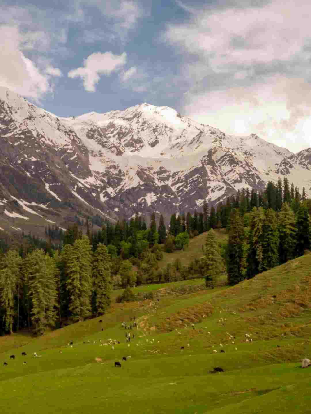 Great Himalayan National Park